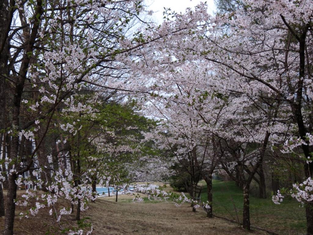 Azumino Hotaka View Hotel Экстерьер фото
